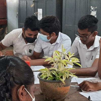 කණිෂ්ඨ අංශය